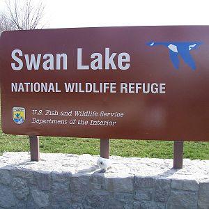 Swan Lake NWR - Missouri