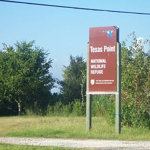 Texas Point NWR - Texas