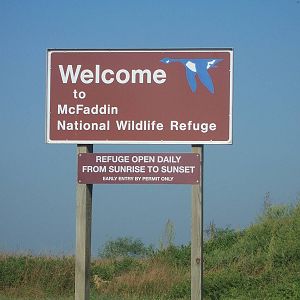 McFaddin NWR - Texas