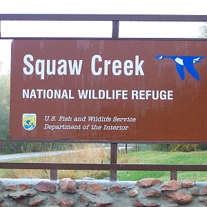 Squaw Creek NWR - Missouri