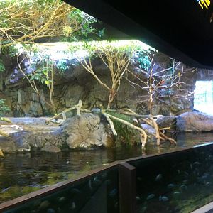 Mixed African species exhibit at Caldwell