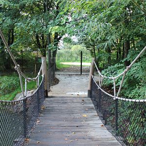 Givskud Zoo - Giant Otter Exhibit