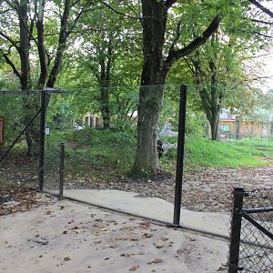 Givskud Zoo - Giant Otter Exhibit