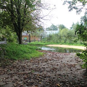 Givskud Zoo - Giant Otter Exhibit