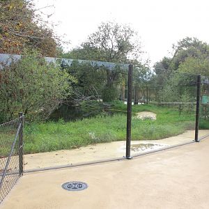 Givskud Zoo - Giant Otter Exhibit