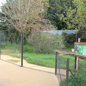 Givskud Zoo - Giant Otter Exhibit
