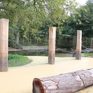Givskud Zoo - Giant Otter Exhibit