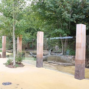 Givskud Zoo - Giant Otter Exhibit