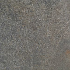 Southern white rhinoceros - skin