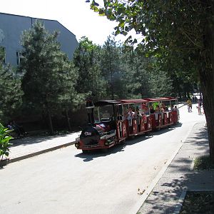 Zoo train