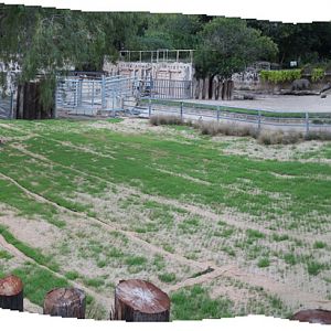 rhino exhibit renovations