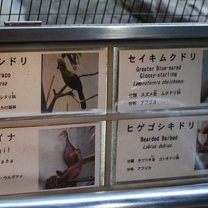 Signage example - Bird House