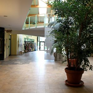 Magdeburg Zoo - Zoowelle