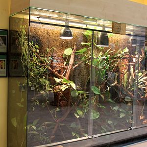 Magdeburg Zoo - Zoowelle (Terrarium)