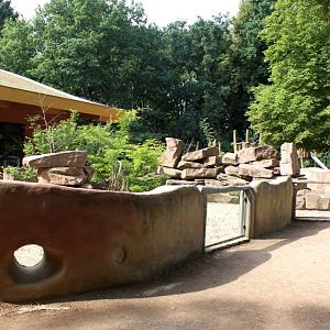 Magdeburg Zoo - Zoowelle (Meerkat)