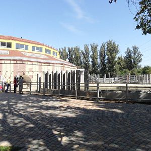 Asian elephant exhibit