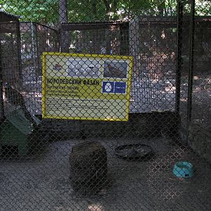 Reeves pheasant exhibit and signage