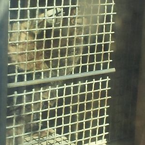 Waiting For Enrichment