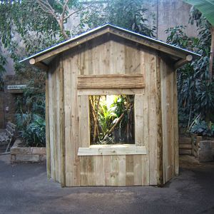 Re-clad Amphibian pod in the Tropical Realm