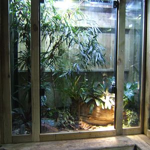 View of new amphibian exhibit