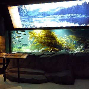 Treasures of the B.C. Coast Exhibit
