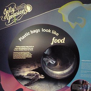 Jellyfish Invasion - Plastic Bag Exhibit