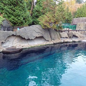 Harbour Seal/Steller's Sea Lion Exhibit