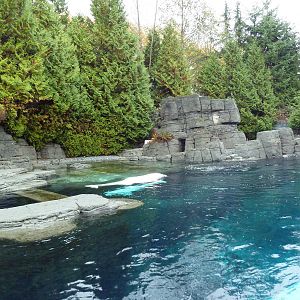 Beluga Whale Exhibit