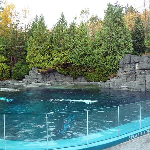 Beluga Whale Exhibit
