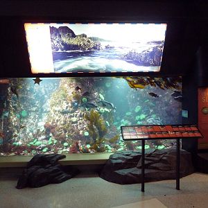 Treasures of the B.C. Coast Exhibit