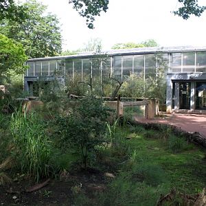 Magdeburg Zoo - Africambo (Rhino House)