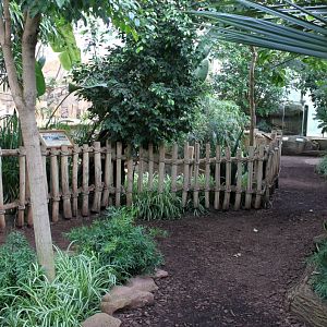 Magdeburg Zoo - Africambo (Rhino House)