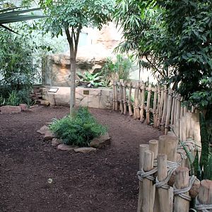 Magdeburg Zoo - Africambo (Rhino House)