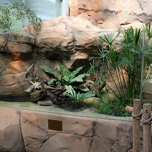 Magdeburg Zoo - Africambo (Rhino House)