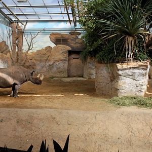 Magdeburg Zoo - Africambo (Rhino House)