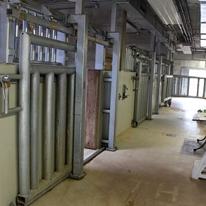 Magdeburg Zoo - Africambo (Rhino House)