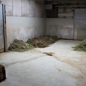 Magdeburg Zoo - Africambo (Rhino House)