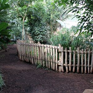 Magdeburg Zoo - Africambo (Rhino House)