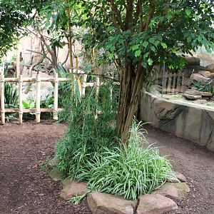 Magdeburg Zoo - Africambo (Rhino House)