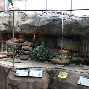 Magdeburg Zoo - Africambo (Rhino House)