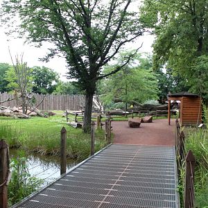 Magdeburg Zoo - Africambo (Rhino/colobus)