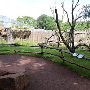 Magdeburg Zoo - Africambo (Rhino/colobus)