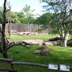 Magdeburg Zoo - Africambo (Rhino/colobus)