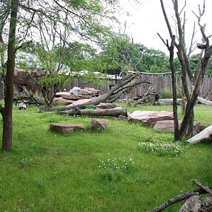 Magdeburg Zoo - Africambo (Rhino/colobus)