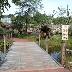 Magdeburg Zoo - Africambo (Rhino/colobus)