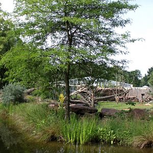 Magdeburg Zoo - Africambo (Rhino/colobus)