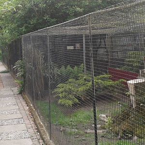 Aviaries