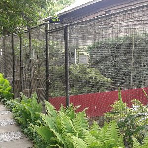 Aviaries