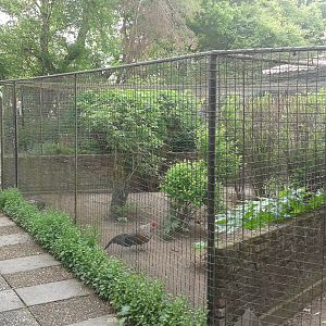 Aviaries