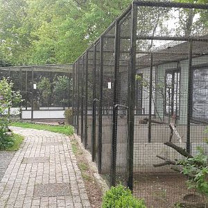 Aviaries